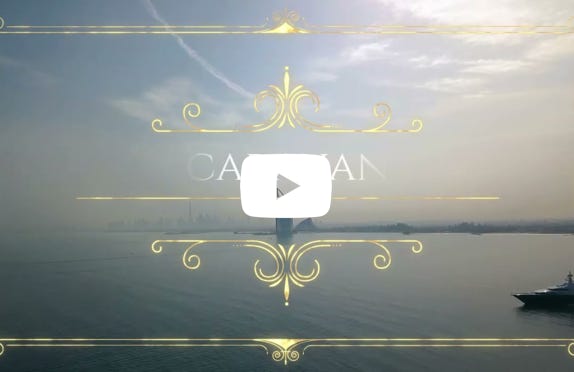 ビデオ 動画を再生